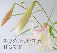 香りの強い花はNG