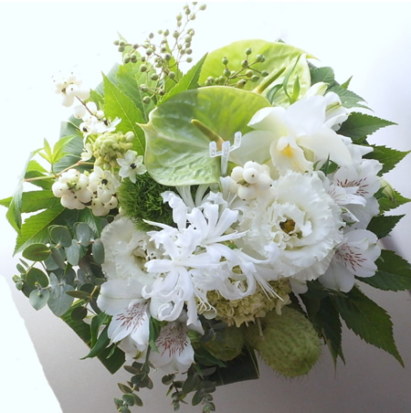 a150911　グリーンアンスと白い花