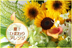 カーネーション 花ブログ カーネーション 花ブログ