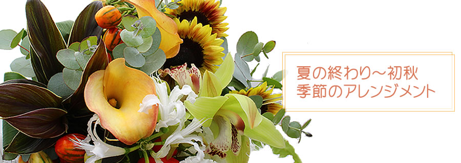 夏の終わり~初秋