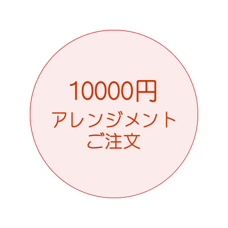10000円アレンジご注文