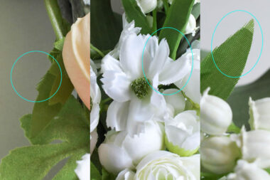 葉っぱや花の端